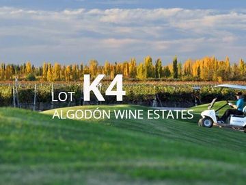 Lot K4 – Algodón Wine Estates