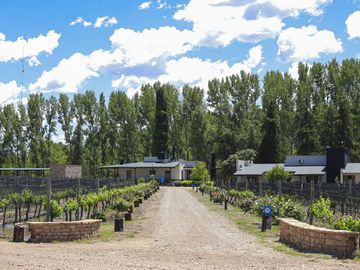 Lot E27 – Algodón Wine Estates