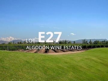 Lot E27 – Algodón Wine Estates