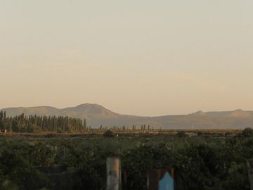 Lot E28 – Algodón Wine Estates