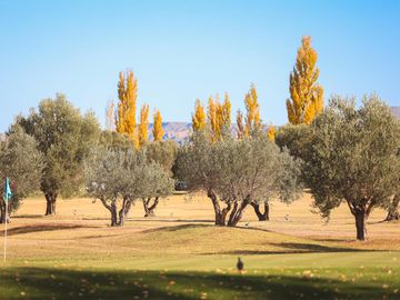 Lot E28 – Algodón Wine Estates