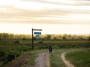 Lot E28 – Algodón Wine Estates