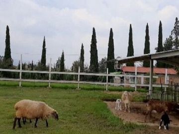 Rancho en VENTA, San Francisco Magu, Nicolas Romero