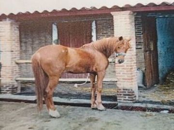 Rancho en VENTA, San Francisco Magu, Nicolas Romero