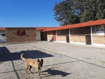 Rancho en VENTA, San Francisco Magu, Nicolas Romero