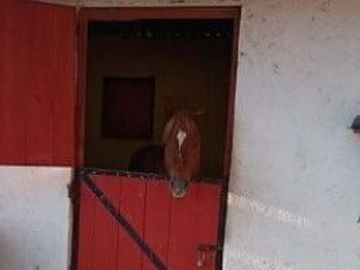 Rancho en VENTA, San Francisco Magu, Nicolas Romero