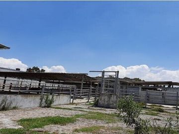 Rancho en VENTA, San Francisco Magu, Nicolas Romero