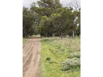 terreno sobre calle 60 entre 207 y 209