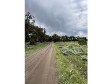 terreno sobre calle 60 entre 207 y 209