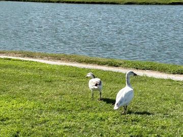 Departamento en venta en Las Aves