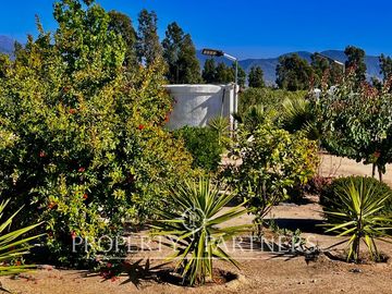 Hermosa Casa de Campo en parcela de 1 ha. en La foresta de Zapallar.