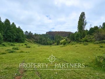 ¡Oportunidad! .. Campo  de 9 hectáreas en Panguipulli sector Dollinco.