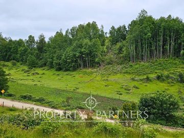 ¡Oportunidad! .. Campo  de 9 hectáreas en Panguipulli sector Dollinco.