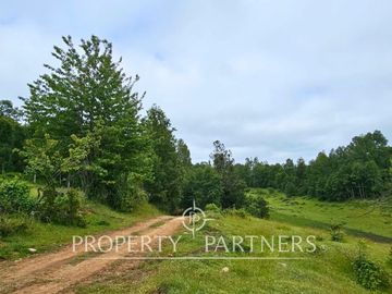 ¡Oportunidad! .. Campo  de 9 hectáreas en Panguipulli sector Dollinco.