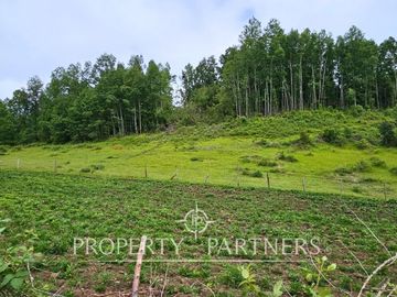 ¡Oportunidad! .. Campo  de 9 hectáreas en Panguipulli sector Dollinco.