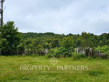 ¡Oportunidad! .. Campo  de 9 hectáreas en Panguipulli sector Dollinco.