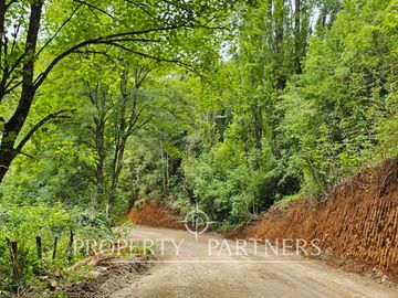 ¡Oportunidad! .. Campo  de 9 hectáreas en Panguipulli sector Dollinco.