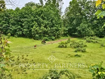 ¡Oportunidad! .. Campo  de 9 hectáreas en Panguipulli sector Dollinco.