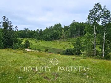 ¡Oportunidad! .. Campo  de 9 hectáreas en Panguipulli sector Dollinco.