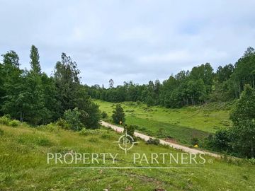 ¡Oportunidad! .. Campo  de 9 hectáreas en Panguipulli sector Dollinco.