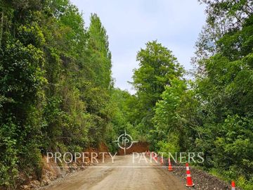 ¡Oportunidad! .. Campo  de 9 hectáreas en Panguipulli sector Dollinco.