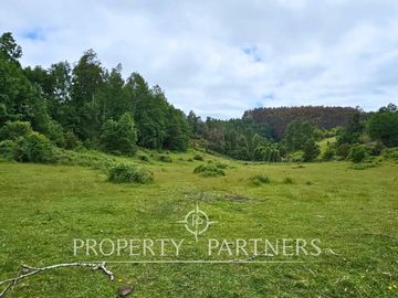 ¡Oportunidad! .. Campo  de 9 hectáreas en Panguipulli sector Dollinco.