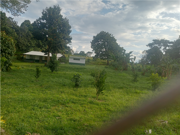 Venta Finca en la vía Armenia - Pueblo Tapao Quindio COD: 8332571
