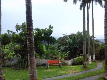 CASA EN VENTA EN CHINCHINA- CALDAS