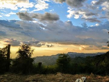 FINCA PARA VENTA EN TURIN