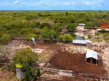 Amplio Rancho en venta en Dzilam de gonzalez, todos los servicios.