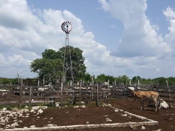 Amplio Rancho en venta en Dzilam de gonzalez, todos los servicios.