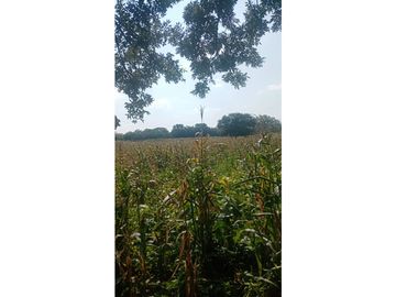 EXTENSO RANCHO EN CINTALAPA CHIPAS.