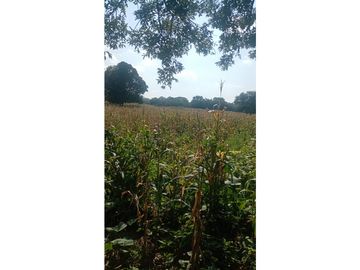 EXTENSO RANCHO EN CINTALAPA CHIPAS.