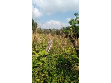 EXTENSO RANCHO EN CINTALAPA CHIPAS.