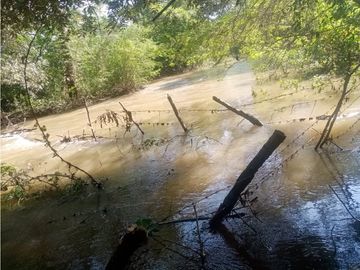 EXTENSO RANCHO EN CINTALAPA CHIPAS.