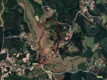 SE VENDE PARCELA. CAMINO A RAFAEL 10,93 HA.