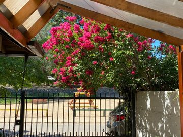 EXCELENTE OPORTUNIDAD EN LOS JARDINES DE TALCA
