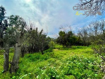 Sitio en Venta en Belloto norte, Quilpué