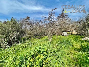 Sitio en Venta en Belloto norte, Quilpué