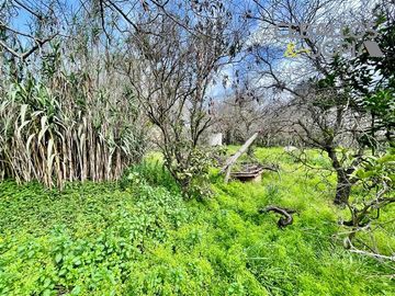 Sitio en Venta en Belloto norte, Quilpué