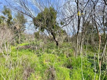 Sitio en Venta en Belloto norte, Quilpué