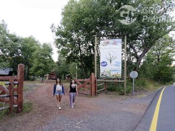 Sitio en Venta en Las Trancas, Camino a Termas de Chillán