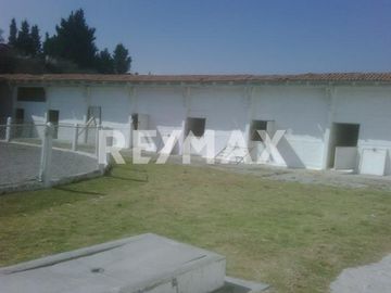 RANCHO EN VENTA EN ALMOLOYA DE JUAREZ  - (3)