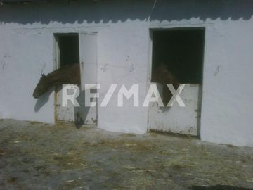 RANCHO EN VENTA EN ALMOLOYA DE JUAREZ  - (3)