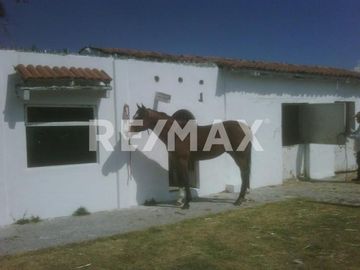 RANCHO EN VENTA EN ALMOLOYA DE JUAREZ  - (3)