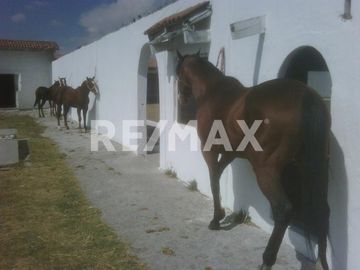 RANCHO EN VENTA EN ALMOLOYA DE JUAREZ  - (3)