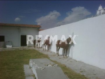RANCHO EN VENTA EN ALMOLOYA DE JUAREZ  - (3)