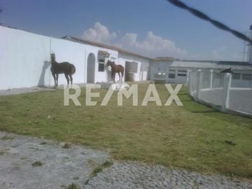 RANCHO EN VENTA EN ALMOLOYA DE JUAREZ  - (3)