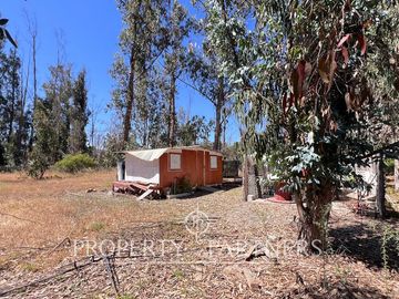 Hermosa Casa de Campo en parcela de 10.000 m/2 en Catapilco, Zapallar