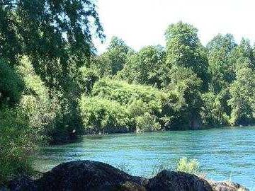 Parcela en venta en LOS LAGOS